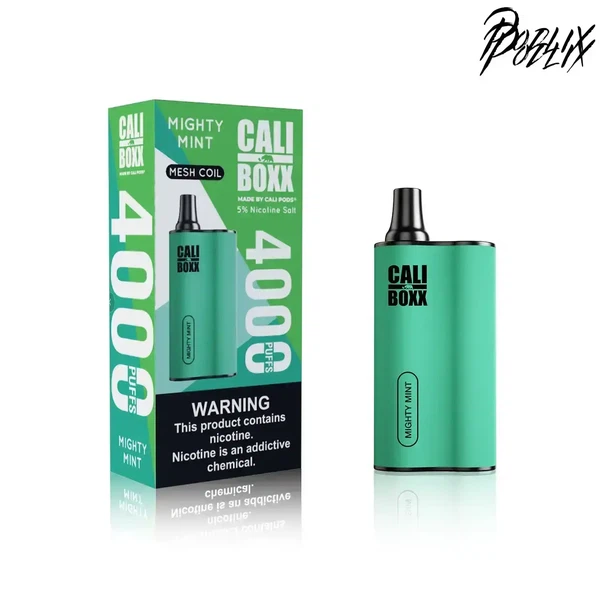 Call Boxx MIGHTY MINT Flavor - Disposable Vape