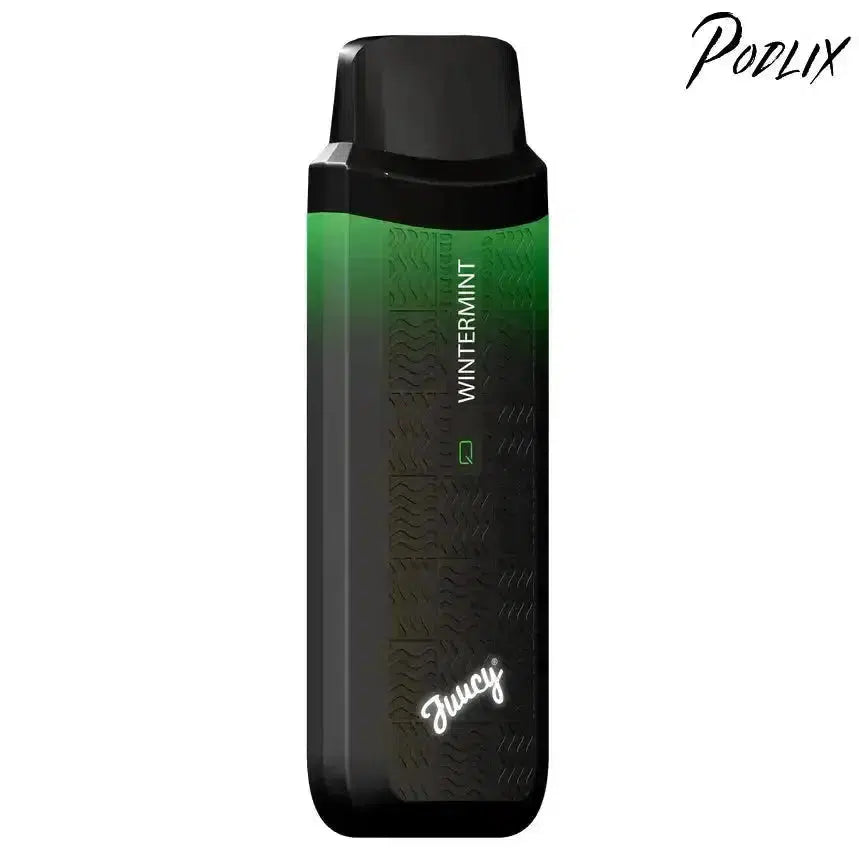 Juucy Model Q WINTERMINT Flavor - Disposable Vape