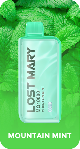 Lost Mary MO10000 Mountain Mint Flavor - Disposable Vape
