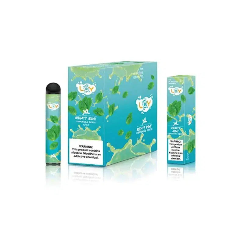 Loy XL By QRJOY Mighty Minty Flavor - Disposable Vape