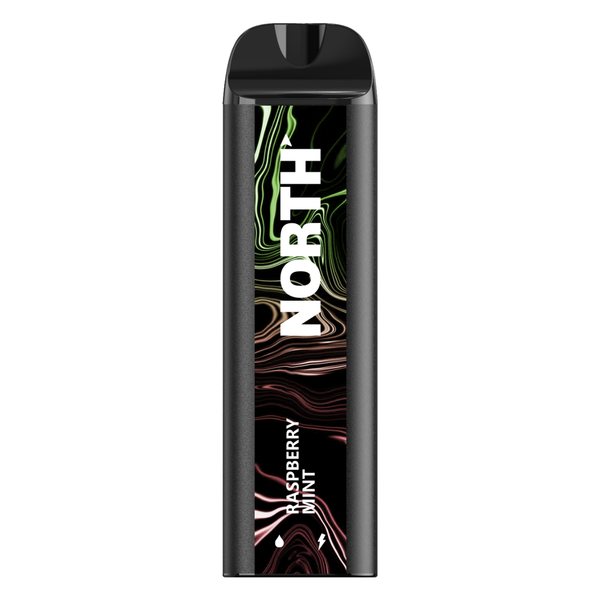 North 5000 Raspberry Mint Flavor - Disposable Vape