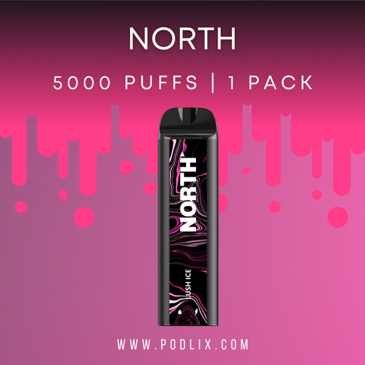 North 5000 Flavor - Disposable Vape