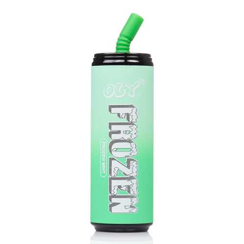 Oly Frozen 7000 Frozen Mint Flavor - Disposable Vape