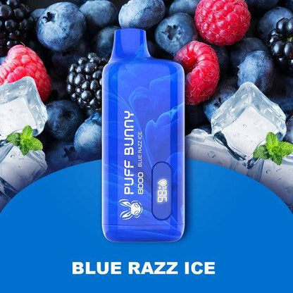 Puff Bunny 8000 Blue Razz Ice Flavor - Disposable Vape